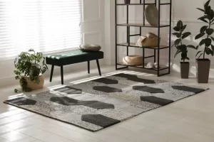 Nettoyage des tapis avec un nettoyeur vapeur ce que vous devez savoir